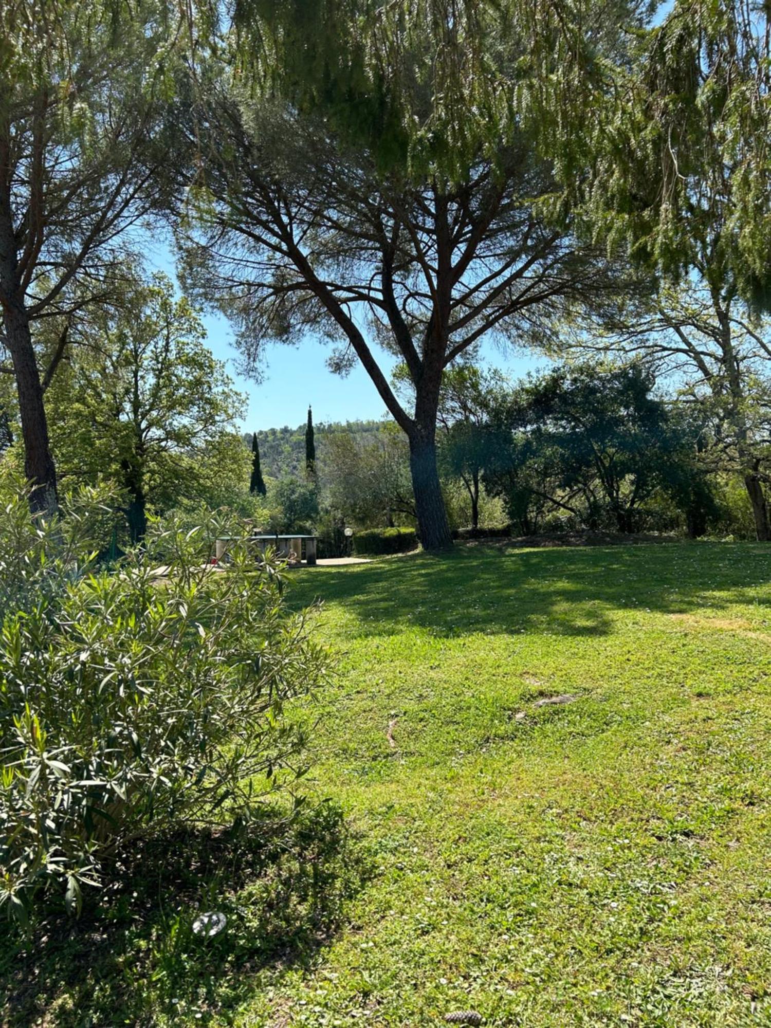 Campo Di Carlo Guest House Sassetta Bagian luar foto